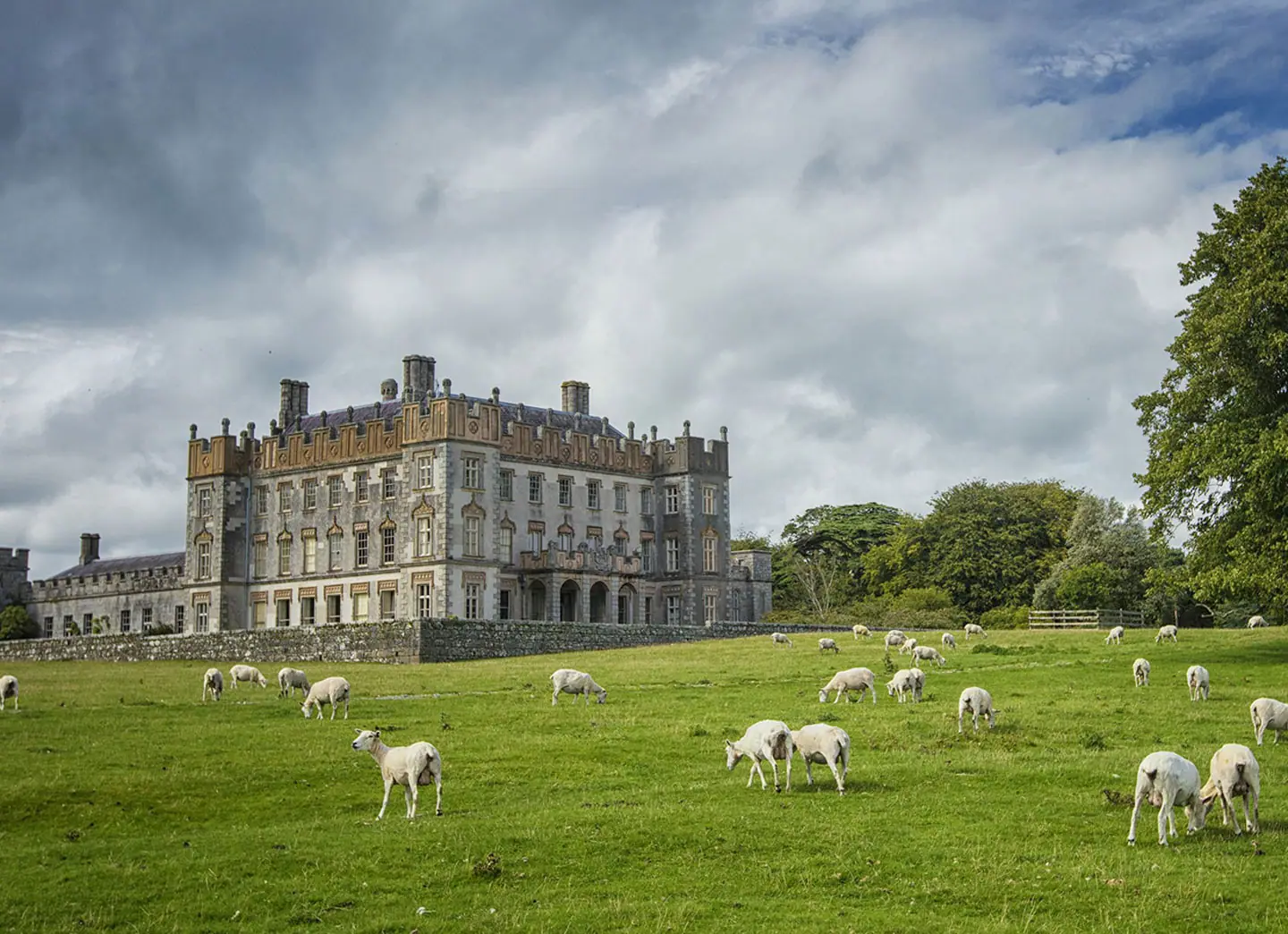 Ballet schools in County Carlow