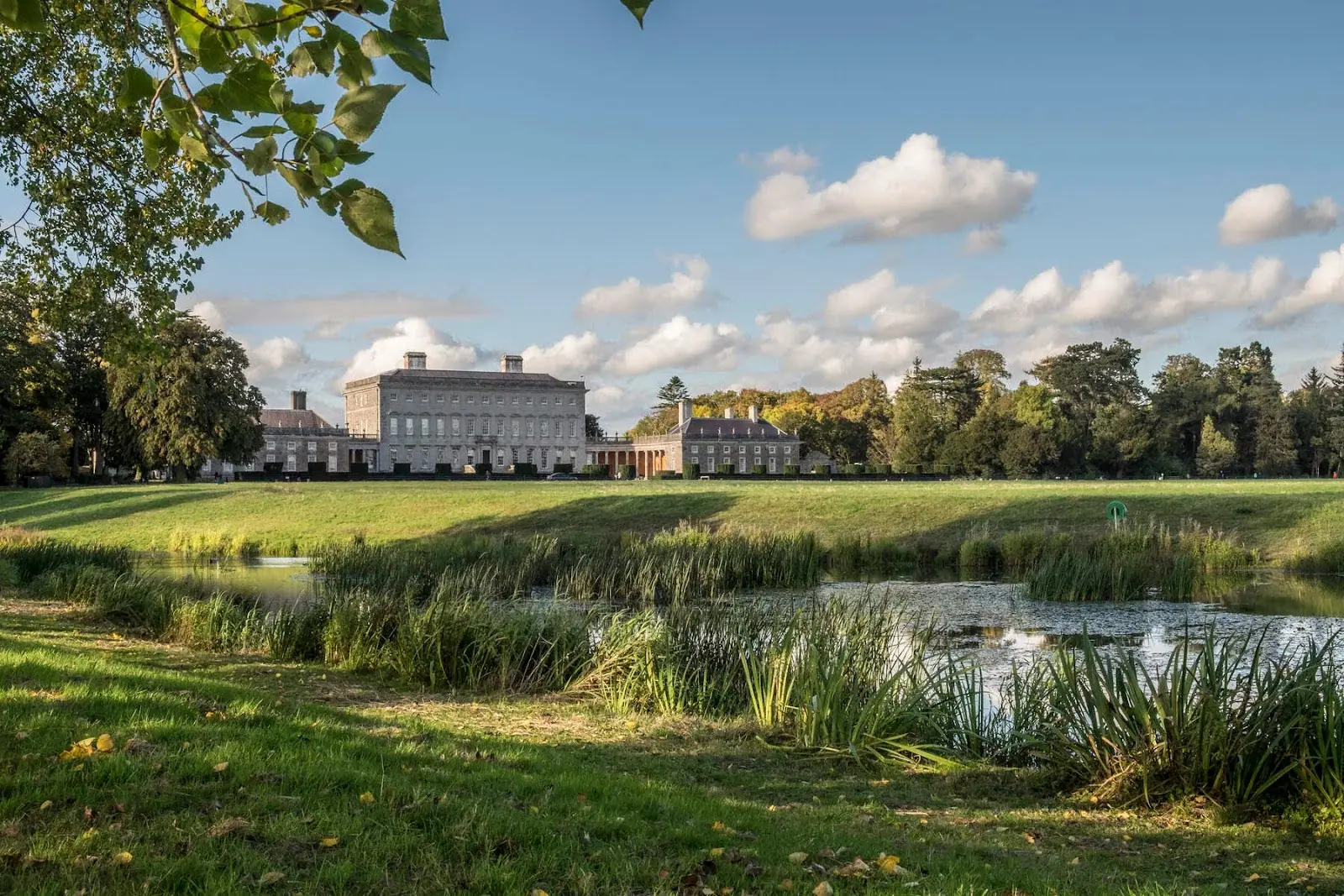 Ballet schools in County Kildare
