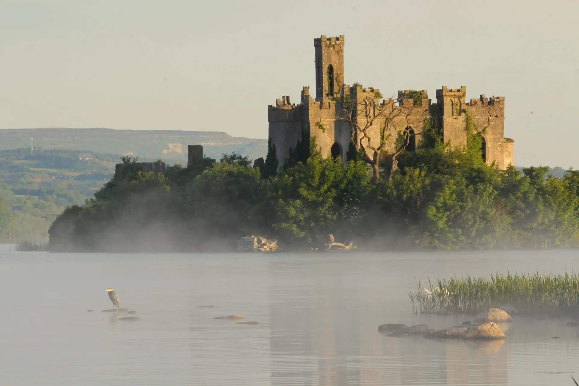 Ballet schools in County Roscommon