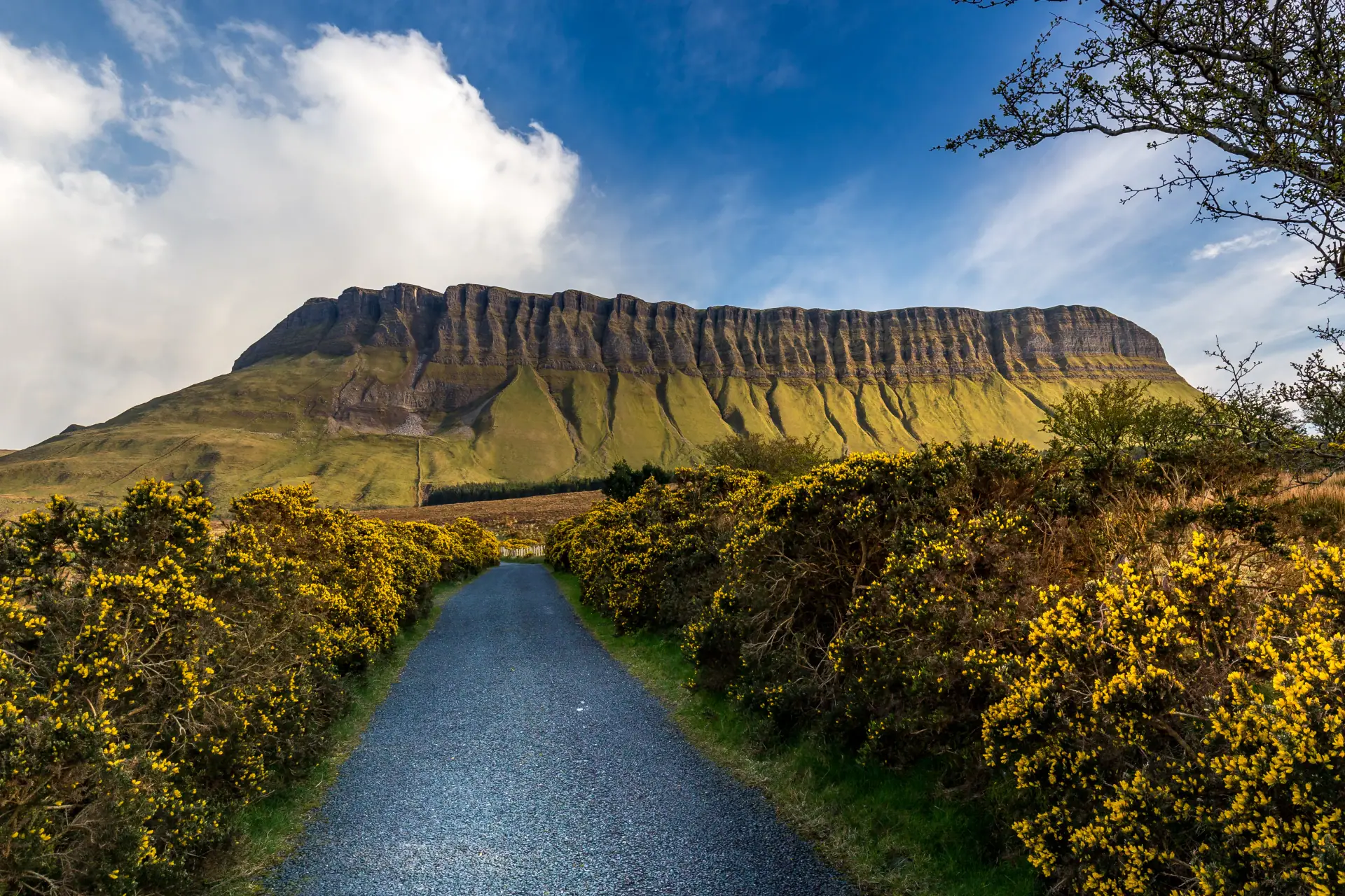Ballet schools in County Sligo