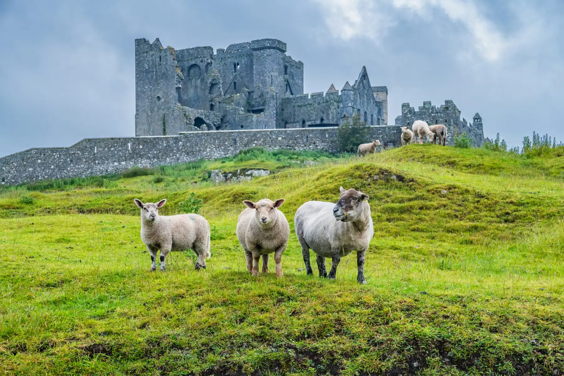 Ballet schools in County Tipperary