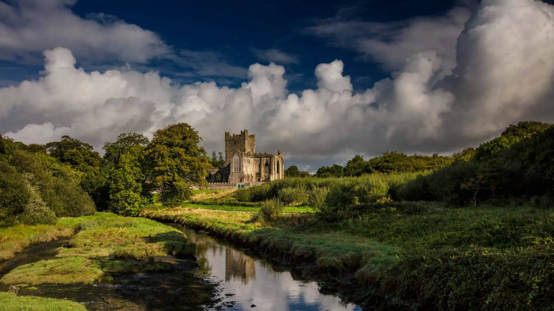 Ballet schools in County Wexford