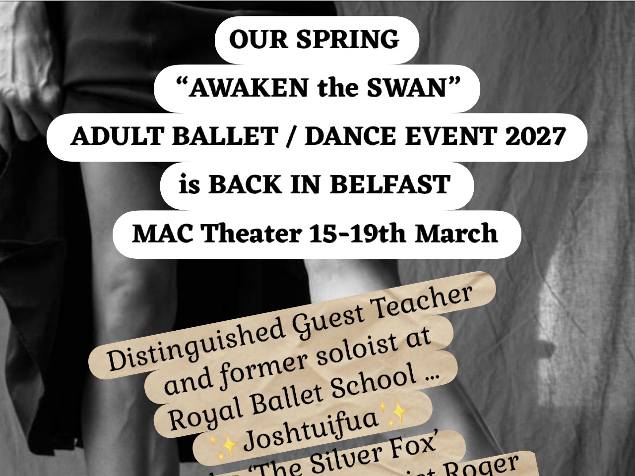 Awaken The Swan Intensive: Silver Swans Ballet and Musical Theatre hero image