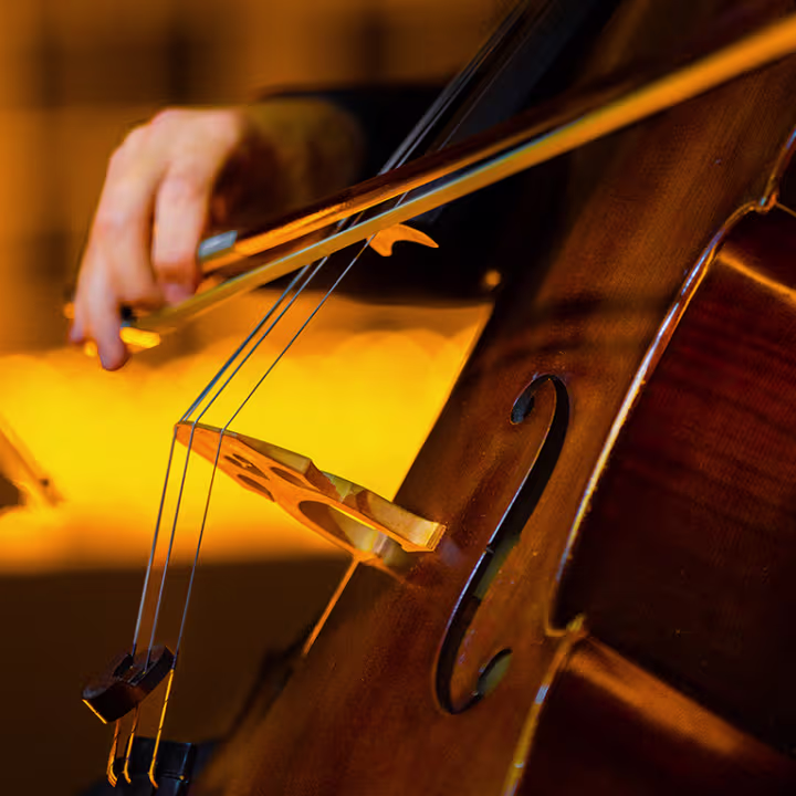 Cellist performing by candlelight